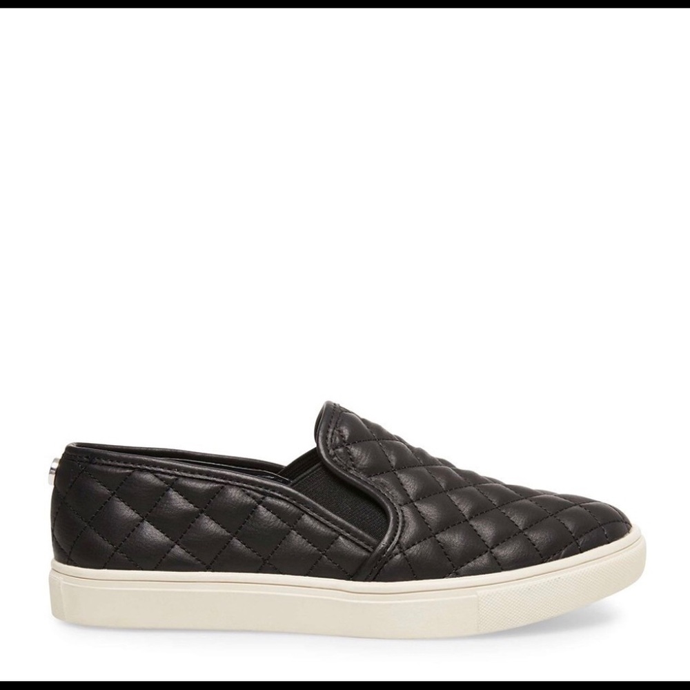 Steve Madden Ecentrcq Sneakers